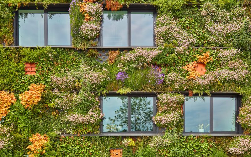 Green Sustainable Office Building